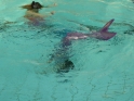Meerjungfrauenschwimmen-104.jpg